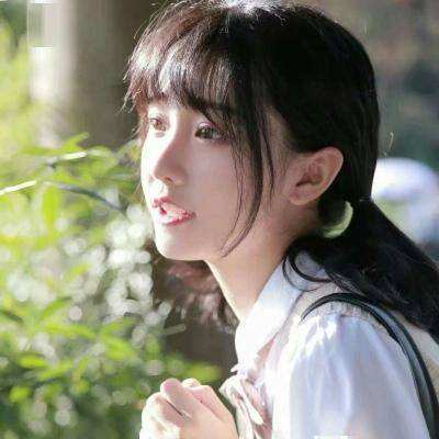 植物大战僵尸美丽小镇版宅宅萝卜下载